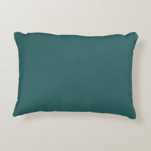 Transformationeel Teal Accent Kussen
