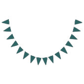 Transformationeel Teal Vlaggetjes (Alle)