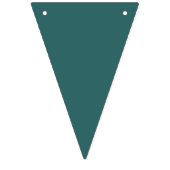 Transformationeel Teal Vlaggetjes (Eerste vlag)