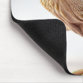 Transforme Seu Espaço com o Mousepad Camaleão Muismat (Hoek)