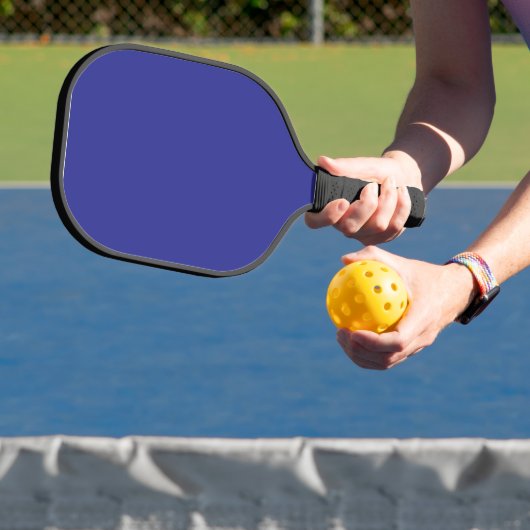 Transformeer uw ruimte met een verbluffende blauwe pickleball paddle (Insitu)