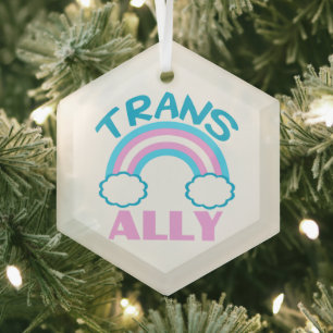 Transgender Ally Trans Rainbow Kerstkerst Glas Ornament