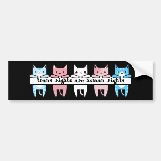 Transgender Flag Cat Trans Rechten van de Mens Bumpersticker (Voorkant)