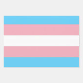 Transgender Flag Inpakpapier Vel (Voorkant 3)