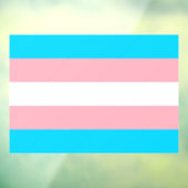 Transgender Flag LGBTQIA+ Flag Window Cling Raamsticker (Vel 3)