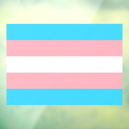 Transgender Flag LGBTQIA+ Flag Window Cling Raamsticker (Vel 3)
