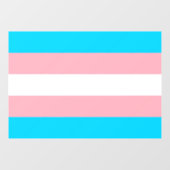 Transgender Flag LGBTQIA+ Flag Window Cling Raamsticker (Vel)