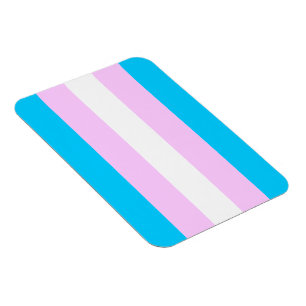 Transgender flag magnet magneet