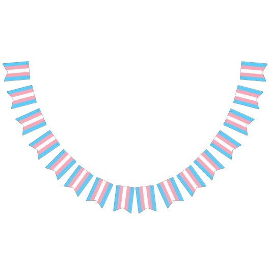 Transgender Flag Party Signs Banners Garland (Alle)