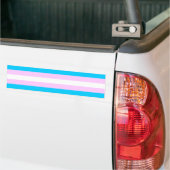 Transgender Flag Sticker (Op Truck)
