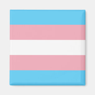 Transgender flag trans-pride LGBT symbool homohomo Magneet