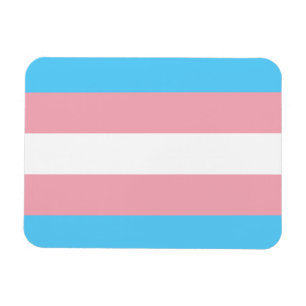 Transgender flag trans-pride LGBT symbool homohomo Magneet
