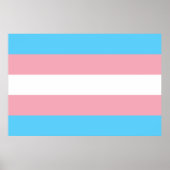 Transgender flag trans-pride LGBT symbool homohomo Poster (Voorkant)