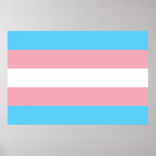 Transgender flag trans-pride LGBT symbool homohomo Poster