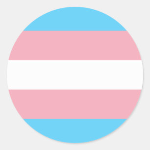 Transgender flag trans-pride LGBT symbool homohomo Ronde Sticker