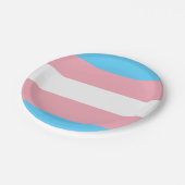 Transgender Flagge Papieren Bordje (Gekanteld)