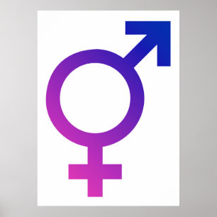 Transgender Hermaphrodite Gender Pride Symbool Poster