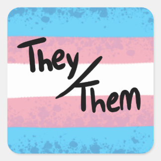 Transgender hun/hennen voornaamwoord sticker