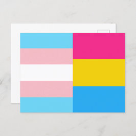 Transgender Pansexual Dual Pride Flag Briefkaart
