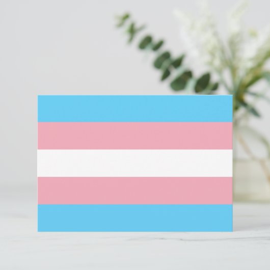 Transgender Pride Flag (Staand voorkant)