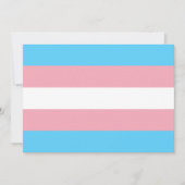 Transgender Pride Flag (Voorkant)