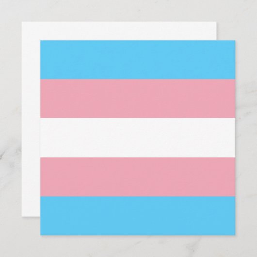 Transgender Pride Flag (Voorkant / Achterkant)