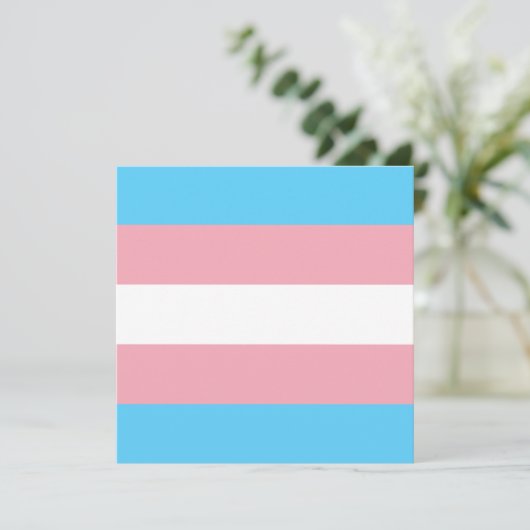 Transgender Pride Flag (Staand voorkant)