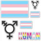 Transgender Pride Flag Coutout stickers (Voorkant)