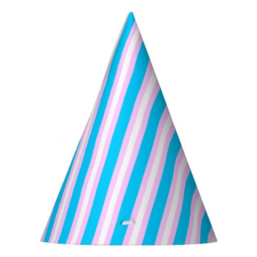 Transgender Pride Flag Feesthoedjes (Links)