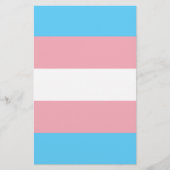 Transgender Pride Flag Flyer (Voorkant)