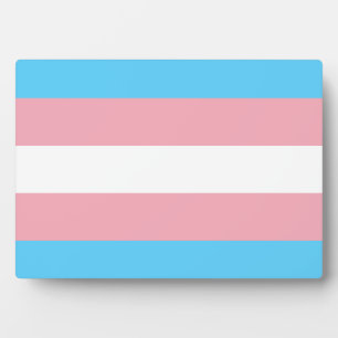 Transgender Pride Flag Fotoplaat