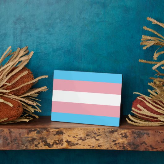 Transgender Pride Flag Fotoplaat (Zijkant)