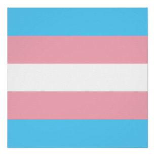 Transgender Pride Flag - LGBT-regenboog Perfect Poster
