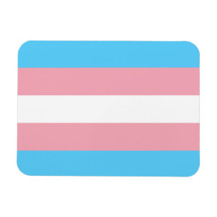 Transgender Pride Flag Magneet