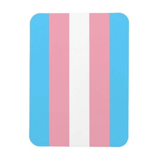 Transgender Pride Flag Magneet (Verticaal)