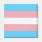 Transgender Pride Flag Magneet (Voorkant)