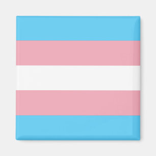 Transgender Pride Flag Magneet