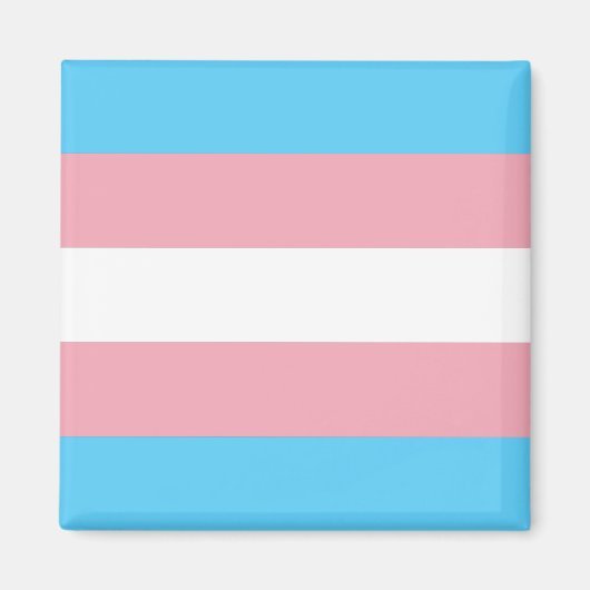 Transgender Pride Flag Magneet (Voorkant)