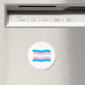 Transgender Pride Flag Magnet (Insitu (Vaatwasser))