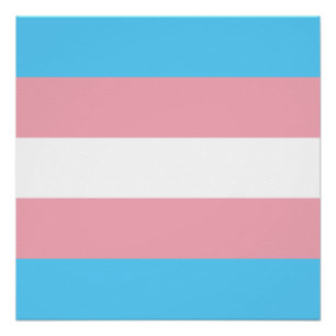 Transgender Pride Flag Perfect Poster