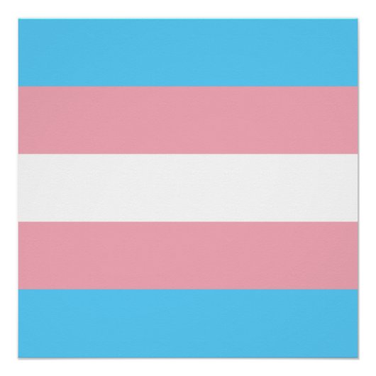 Transgender Pride Flag Perfect Poster (Voorkant)