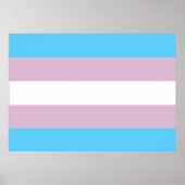 Transgender Pride Flag Poster (Voorkant)