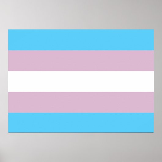 Transgender Pride Flag Poster (Voorkant)