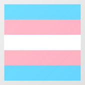 Transgender Pride Flag Raamsticker (Vel)