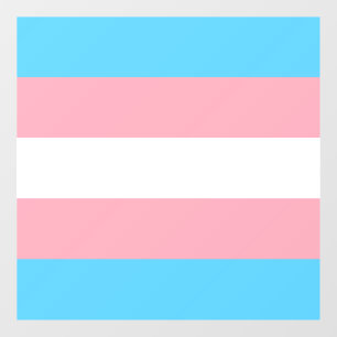 Transgender Pride Flag Raamsticker