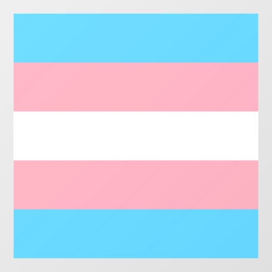Transgender Pride Flag Raamsticker (Vel)