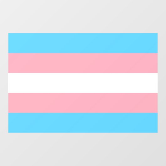 Transgender Pride Flag Raamsticker (Vel)