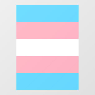 Transgender Pride Flag Raamsticker