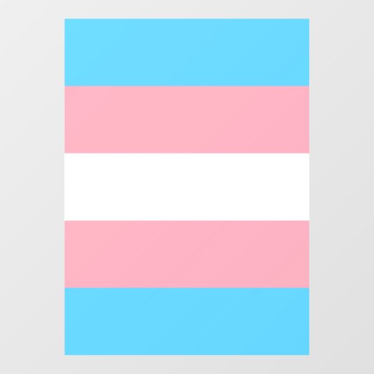 Transgender Pride Flag Raamsticker (Vel)
