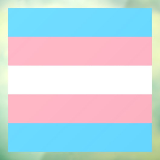 Transgender Pride Flag Raamsticker (Vel 3)